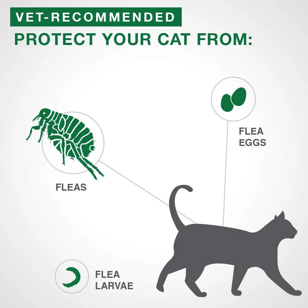 Advantage II Flea Treatment For Kittens 2.3 Kg & Under (Aquamarine) - Image 3